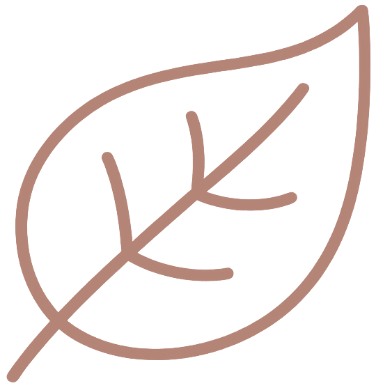 leaf-v2 icon-1