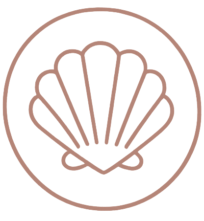 shell icon-2